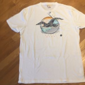 NWT Hollister Tee with logo.  XL